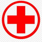 Profile picture of System Administrator